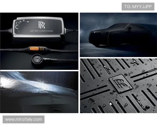 波音娱乐平台VIP制度详解尊享专属福利与个性化服务